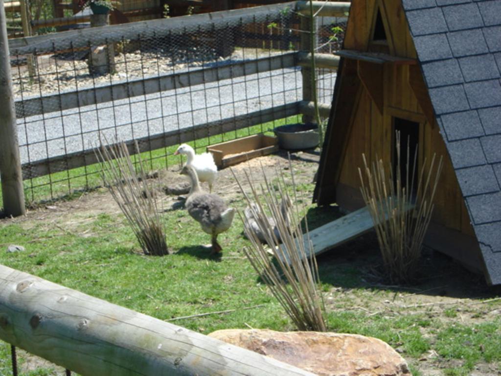 Camping Saint Michel Courtils Exterior foto